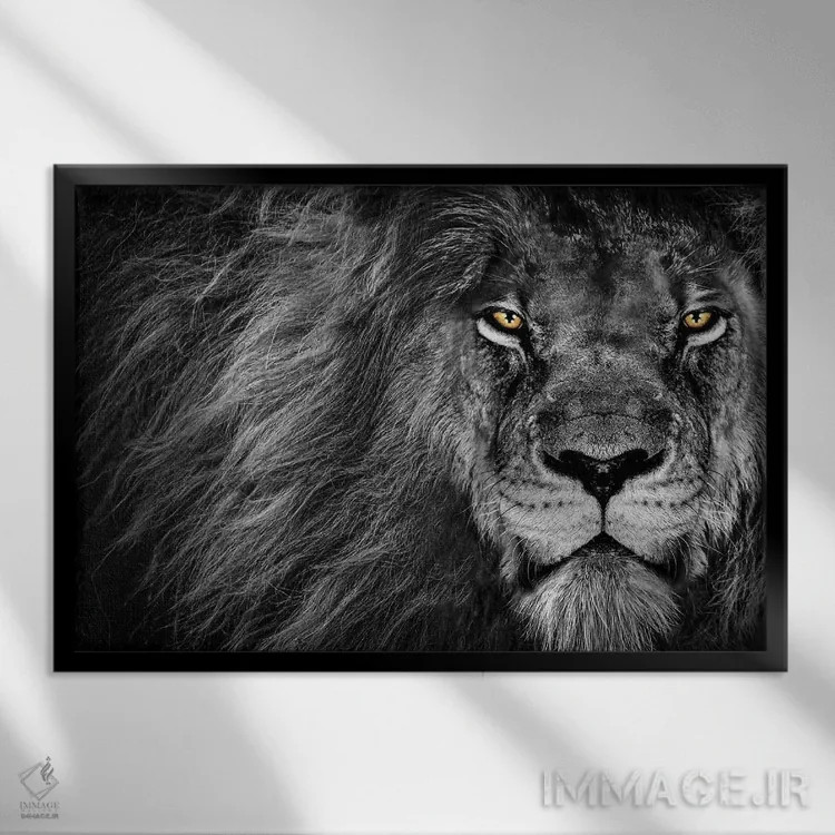 تابلو نگاه شیر، سیاهوسفید اثر آدریان ویریو - نمای قابدار مشکی