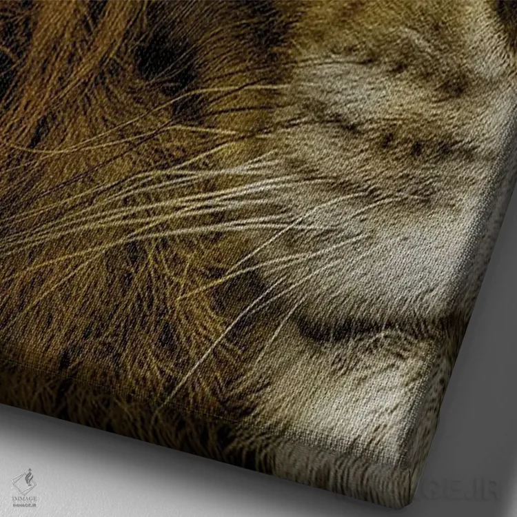 تابلو شیر با چشمهای آبی، نیمرخ صورت اثر آدریان ویریو - نمای نزدیک بافت بوم