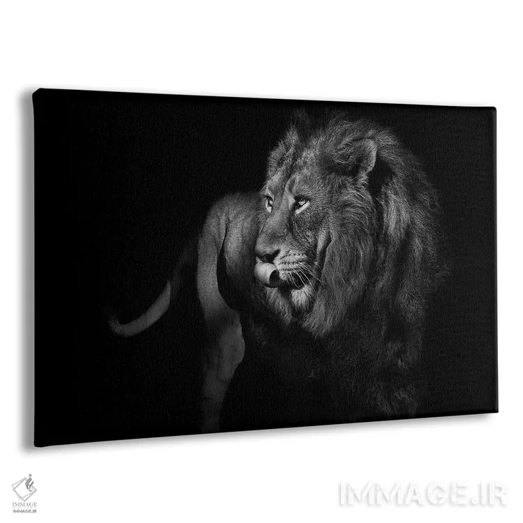 تابلو شیر در حال چرخیدن و نگاه کردن، سیاهوسفید اثر آدریان ویریو - نمای پرسپکتیو محصول