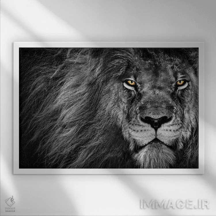 تابلو نگاه شیر، سیاهوسفید اثر آدریان ویریو - نمای قابدار سفید