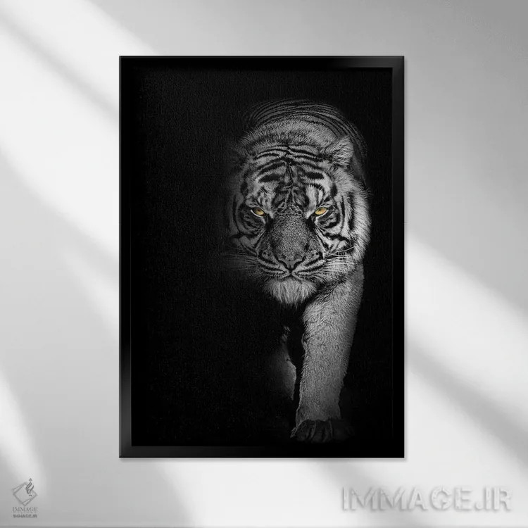 تابلو قدم زدن ببر، سیاهوسفید اثر آدریان ویریو - نمای قابدار مشکی