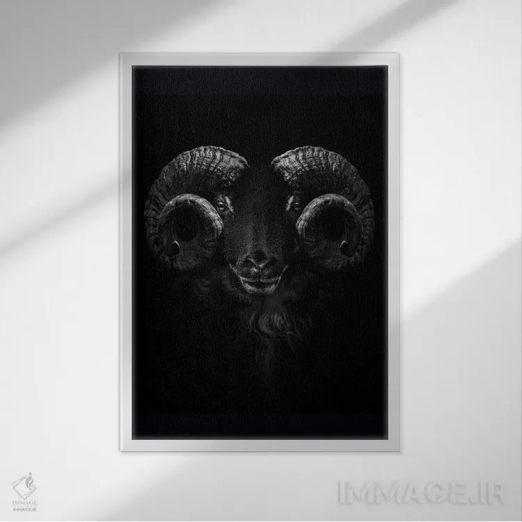 تابلو Close Up Of Head And Horns,نمای نزدیک سر و شاخهای قوچ اثر آدریان ویریو - نمای قابدار سفید