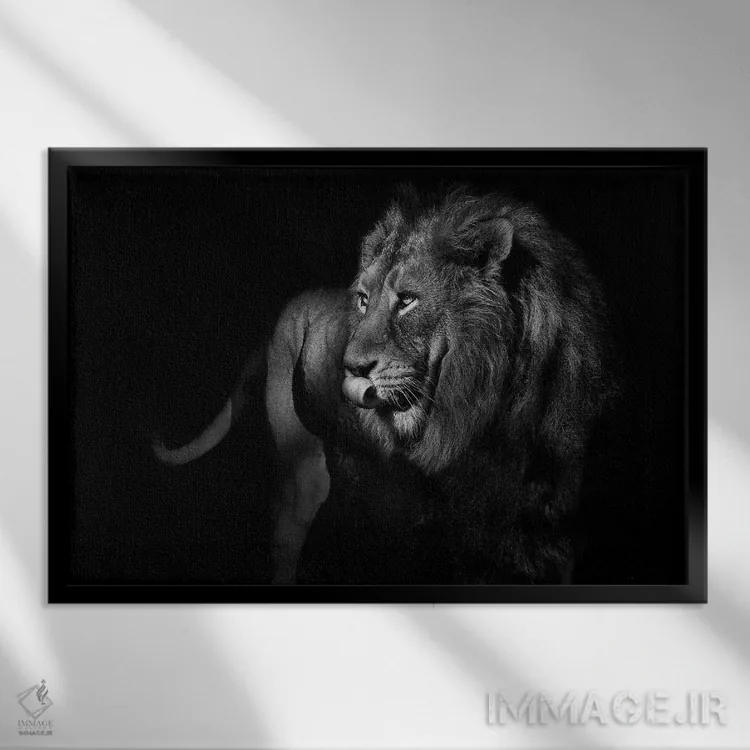 تابلو شیر در حال چرخیدن و نگاه کردن، سیاهوسفید اثر آدریان ویریو - نمای قابدار مشکی