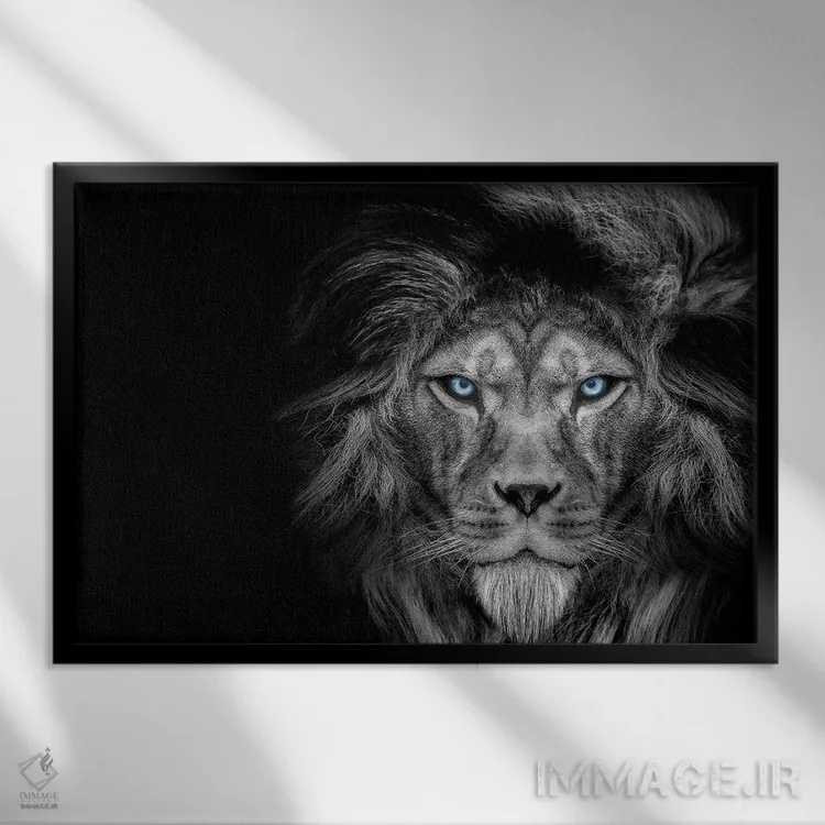 تابلو نگاه سرد شیر، سیاهوسفید اثر آدریان ویریو - نمای قابدار مشکی
