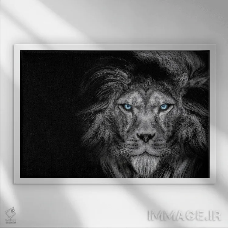 تابلو نگاه سرد شیر، سیاهوسفید اثر آدریان ویریو - نمای قابدار سفید