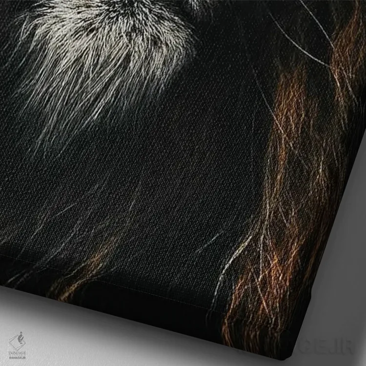 تابلو Blue Eyes,صورت شیر نر آفریقایی با چشمهای آبی اثر آدریان ویریو - نمای نزدیک بافت بوم