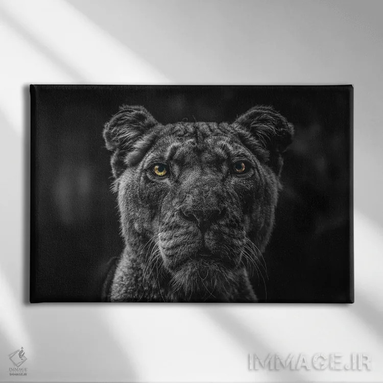 تابلو Head Black And White,صورت شیر، سر سیاهوسفید اثر آدریان ویریو - نمای روبهرو روی دیوار