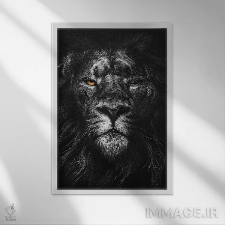 تابلو شیر جنگجو، سیاهوسفید اثر آدریان ویریو - نمای قابدار سفید