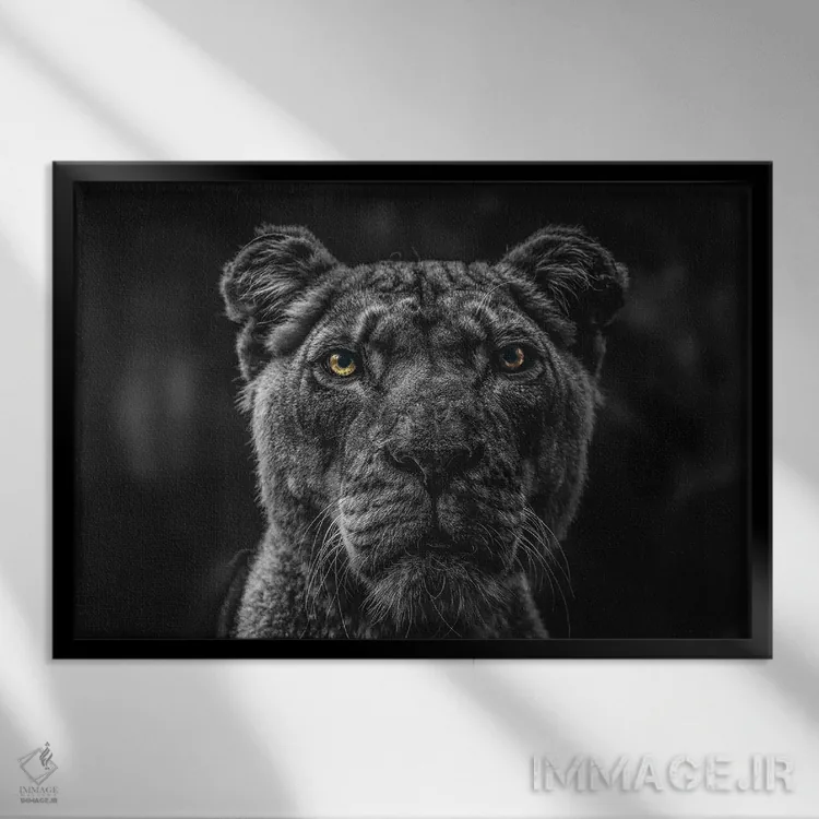 تابلو Head Black And White,صورت شیر، سر سیاهوسفید اثر آدریان ویریو - نمای قابدار مشکی