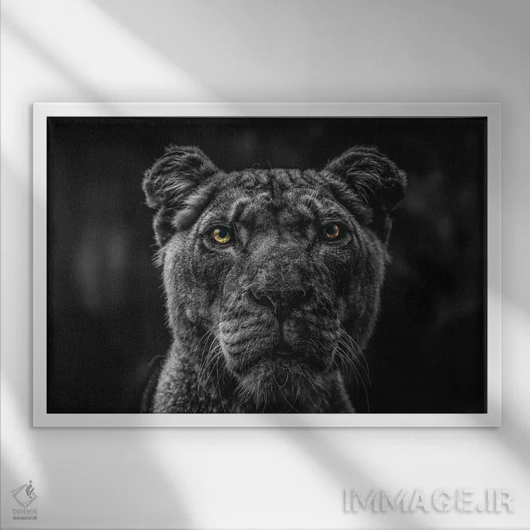 تابلو Head Black And White,صورت شیر، سر سیاهوسفید اثر آدریان ویریو - نمای قابدار سفید