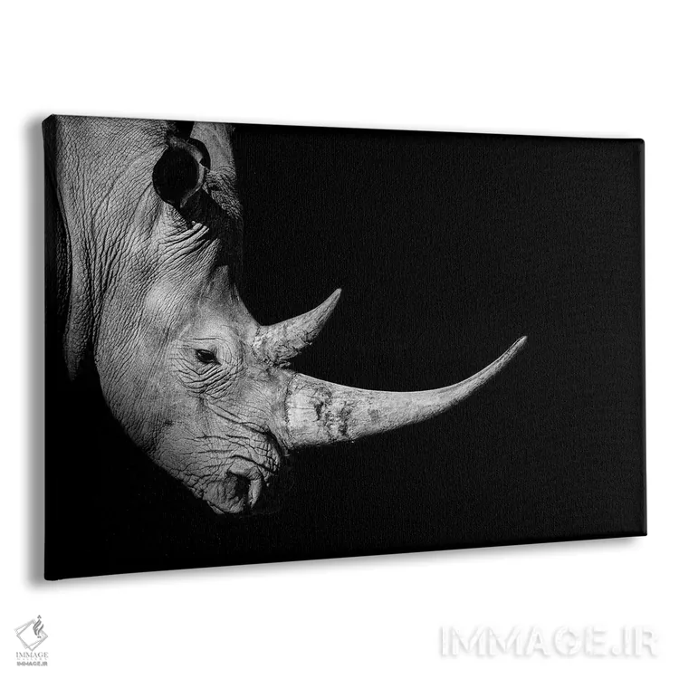 تابلو نمای نیمرخ کرگدن، سیاهوسفید اثر آدریان ویریو - نمای پرسپکتیو محصول