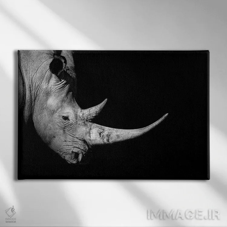 تابلو نمای نیمرخ کرگدن، سیاهوسفید اثر آدریان ویریو - نمای روبهرو روی دیوار