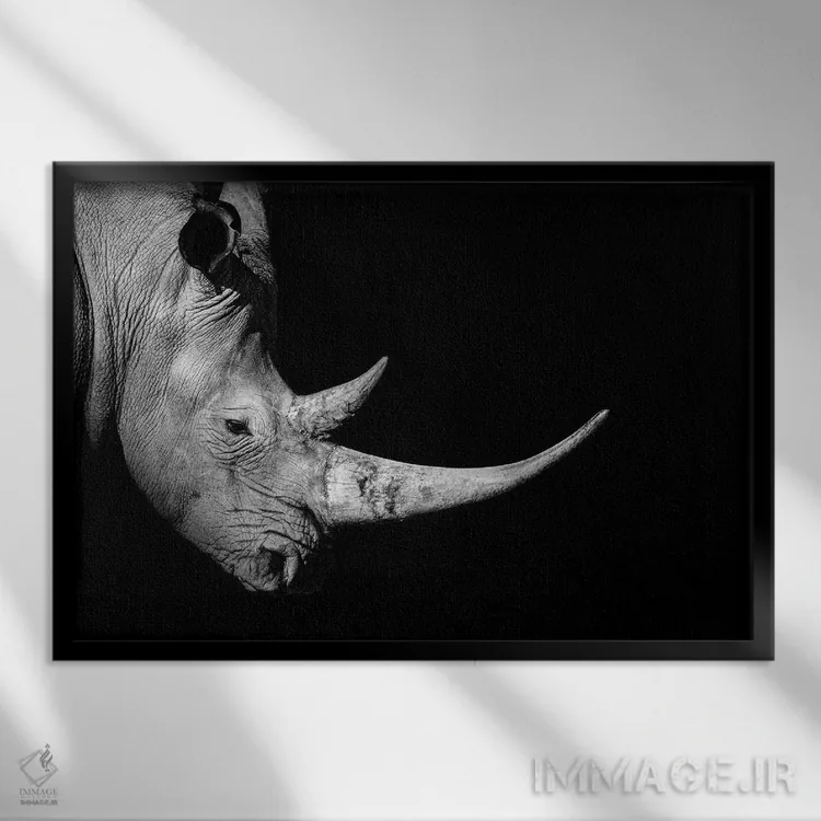 تابلو نمای نیمرخ کرگدن، سیاهوسفید اثر آدریان ویریو - نمای قابدار مشکی