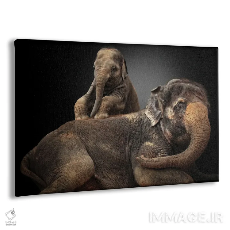 تابلو آشوبگر عزیز من اثر آنتیه ونه-براون - نمای پرسپکتیو محصول