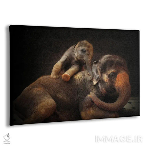 تابلو پیوند عاشقانه اثر آنتیه ونه-براون - نمای پرسپکتیو محصول