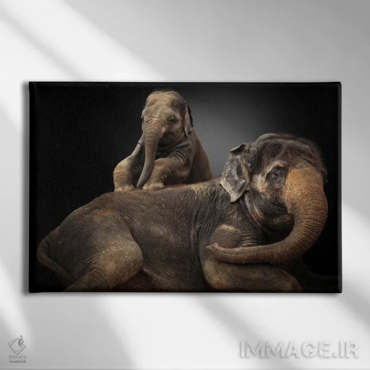 تابلو آشوبگر عزیز من اثر آنتیه ونه-براون - نمای روبهرو روی دیوار