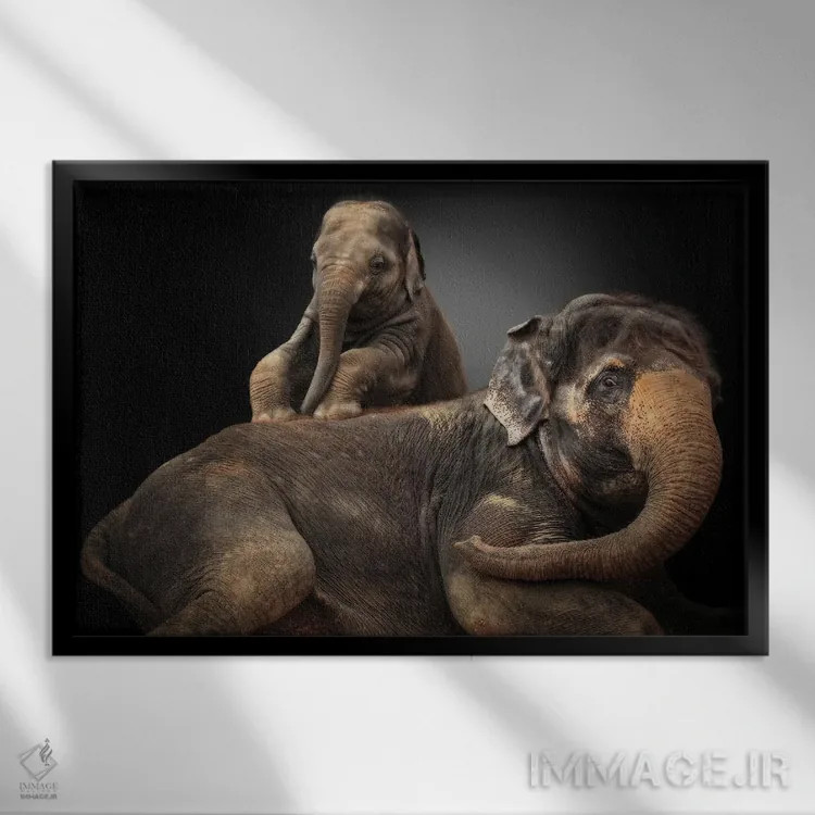 تابلو آشوبگر عزیز من اثر آنتیه ونه-براون - نمای قابدار مشکی