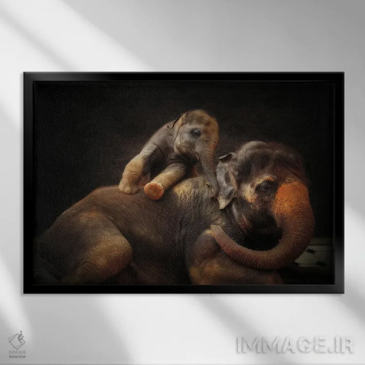 تابلو پیوند عاشقانه اثر آنتیه ونه-براون - نمای قابدار مشکی