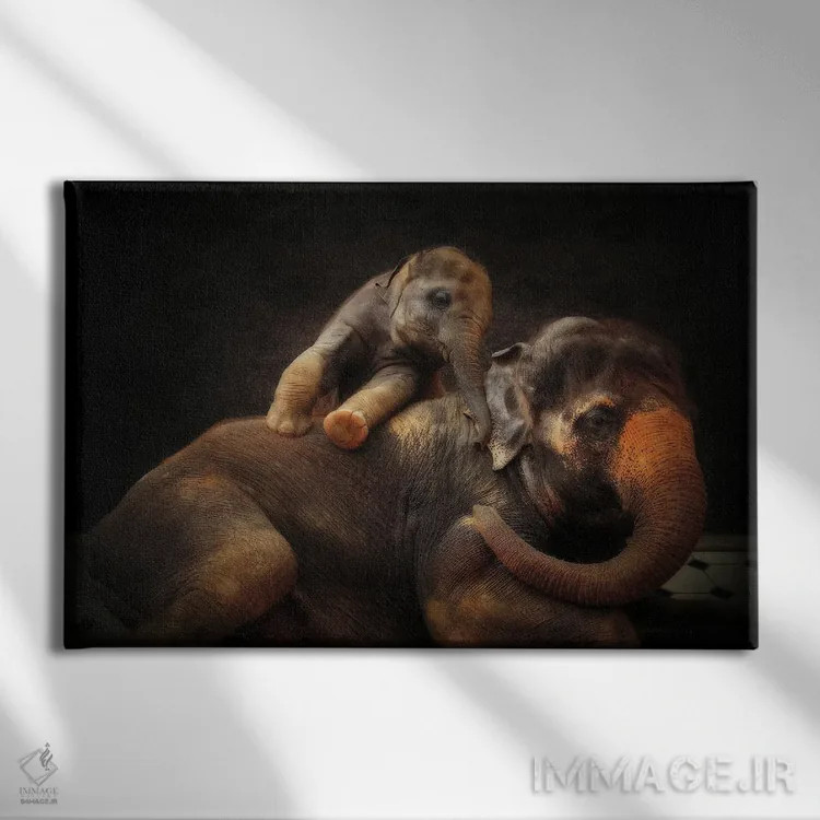 تابلو پیوند عاشقانه اثر آنتیه ونه-براون - نمای روبهرو روی دیوار