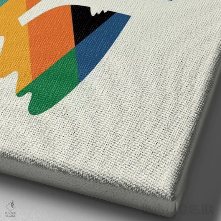 تابلو چشم بر جغد اثر اندی وستفِیس - نمای نزدیک بافت بوم