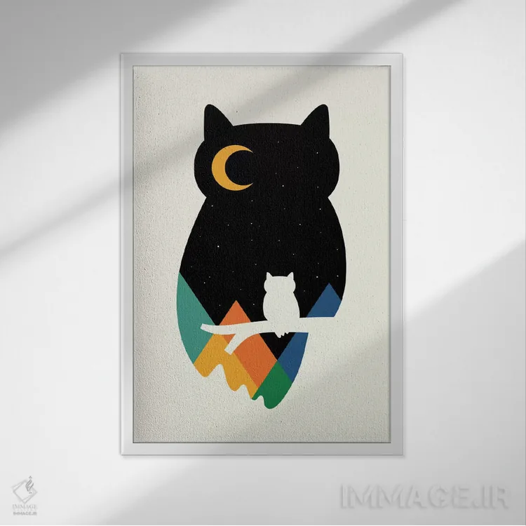 تابلو چشم بر جغد اثر اندی وستفِیس - نمای قابدار سفید