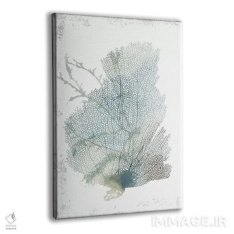 تابلو مرجان لطیف سبزآبی II اثر ایمی ویلسون - نمای پرسپکتیو محصول