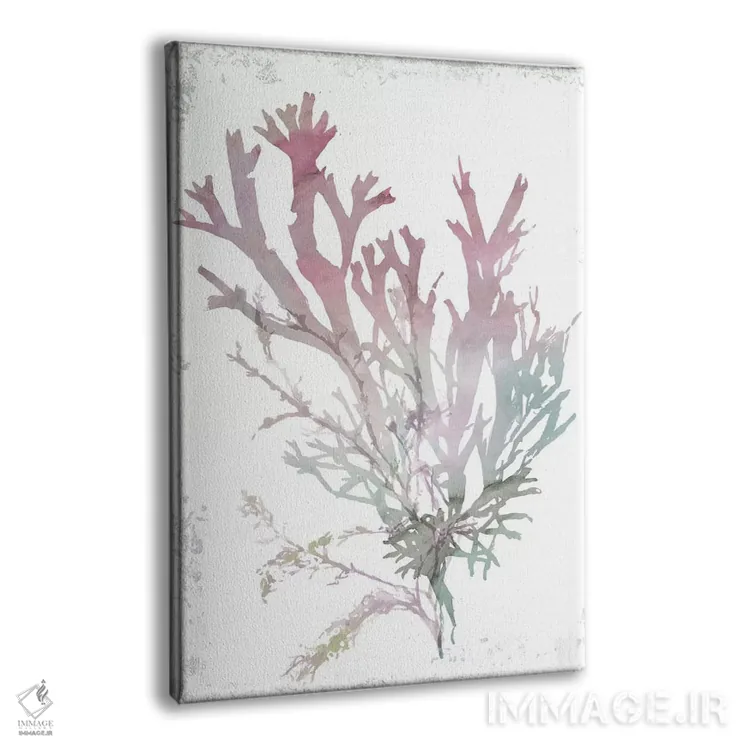 تابلو مرجان صورتی اثر ایمی ویلسون - نمای پرسپکتیو محصول
