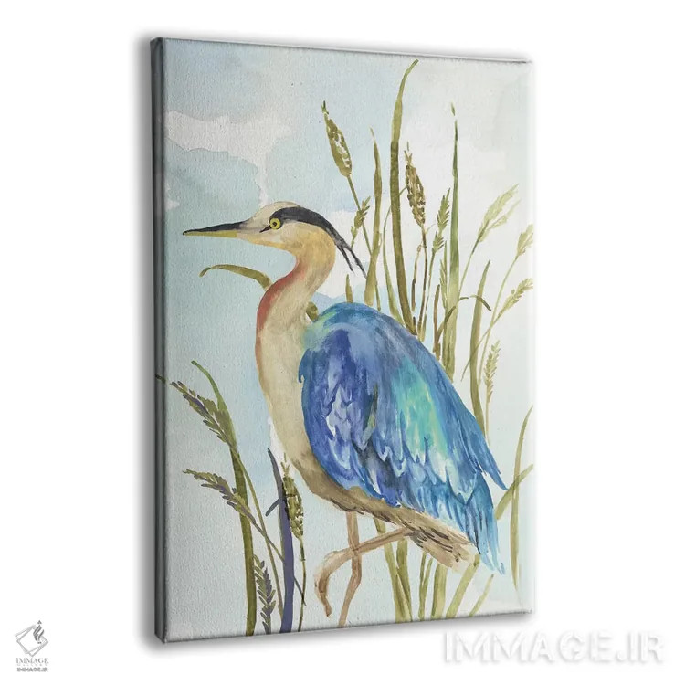 تابلو حواصیل آبی کوچک اثر ایمی ویلسون - نمای پرسپکتیو محصول