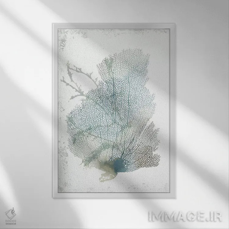 تابلو مرجان لطیف سبزآبی II اثر ایمی ویلسون - نمای قابدار سفید