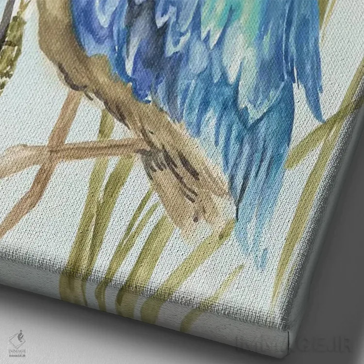 تابلو حواصیل آبی کوچک اثر ایمی ویلسون - نمای نزدیک بافت بوم