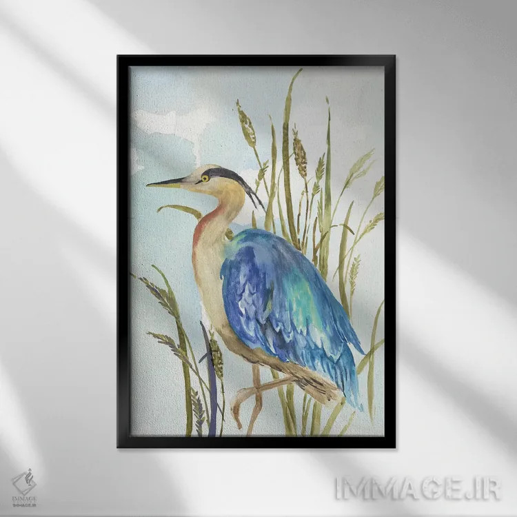 تابلو حواصیل آبی کوچک اثر ایمی ویلسون - نمای قابدار مشکی