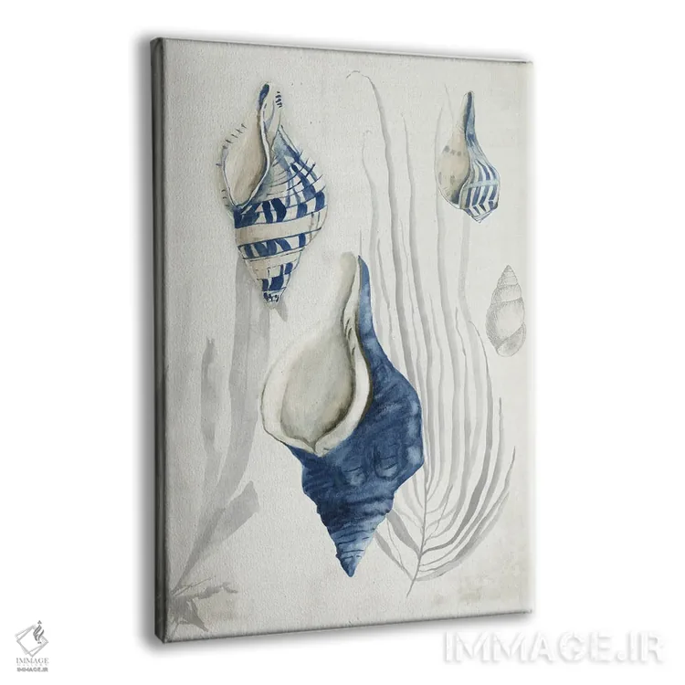 تابلو صدفهای عتیقه I اثر ایمی ویلسون - نمای پرسپکتیو محصول