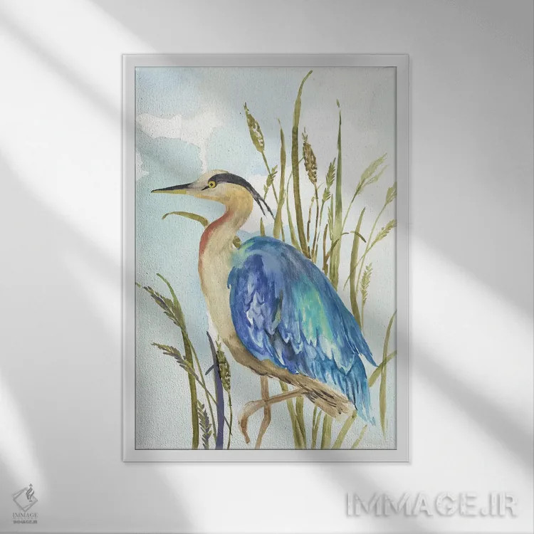 تابلو حواصیل آبی کوچک اثر ایمی ویلسون - نمای قابدار سفید