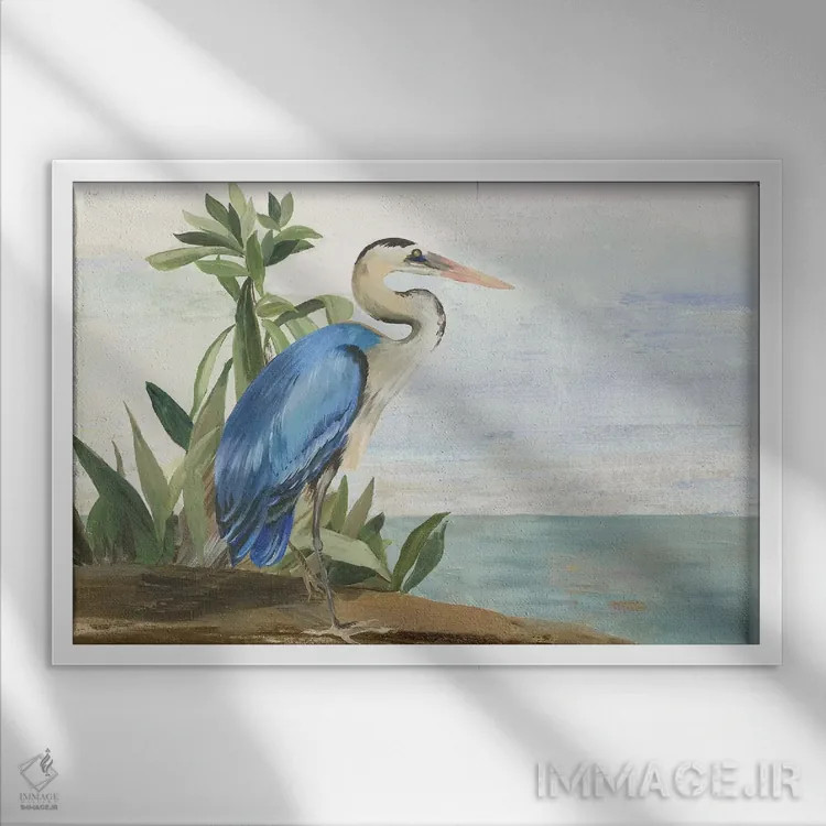 تابلو فصل صلح II اثر ایمی ویلسون - نمای قابدار سفید