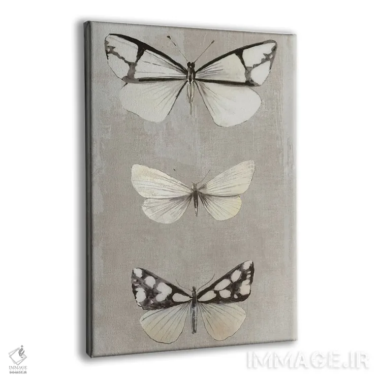 تابلو پروانههای لطیف I اثر ایمی ویلسون - نمای پرسپکتیو محصول