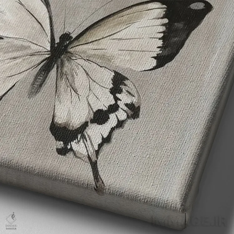 تابلو پروانههای لطیف II اثر ایمی ویلسون - نمای نزدیک بافت بوم