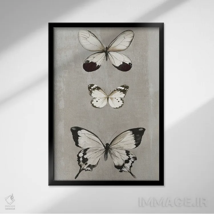 تابلو پروانههای لطیف II اثر ایمی ویلسون - نمای قابدار مشکی