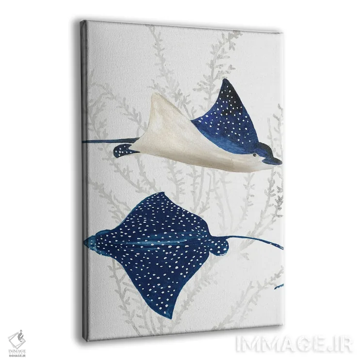 تابلو رِی ماهی آبی II (مانتا) اثر ایمی ویلسون - نمای پرسپکتیو محصول