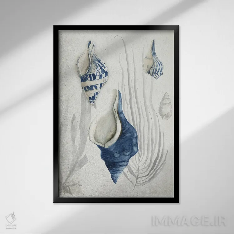 تابلو صدفهای عتیقه I اثر ایمی ویلسون - نمای قابدار مشکی