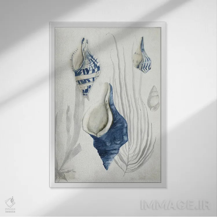 تابلو صدفهای عتیقه I اثر ایمی ویلسون - نمای قابدار سفید