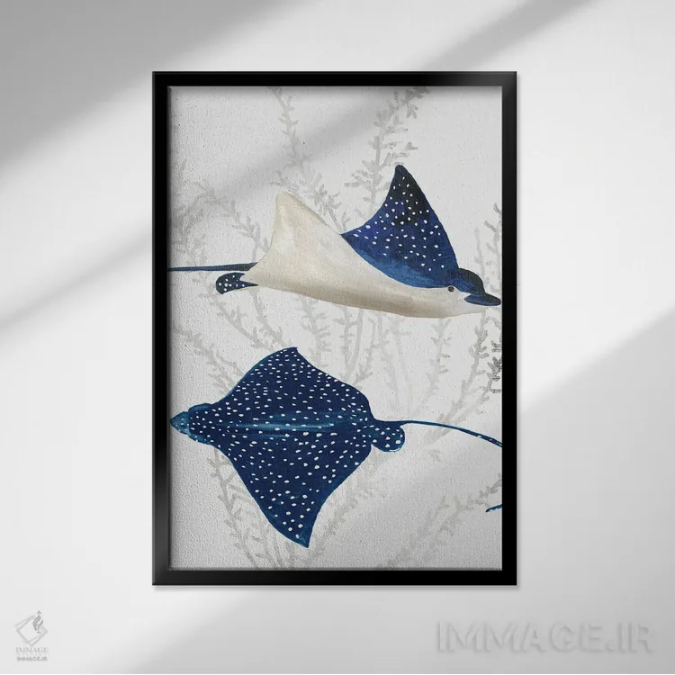 تابلو رِی ماهی آبی II (مانتا) اثر ایمی ویلسون - نمای قابدار مشکی