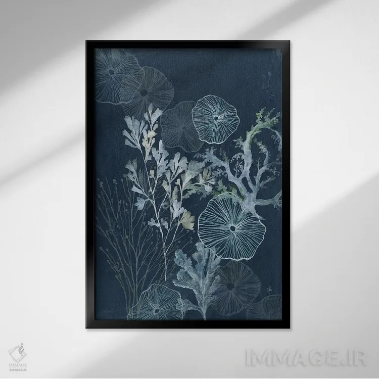 تابلو گنجینههای دریایی اثیری اثر ایمی ویلسون - نمای قابدار مشکی