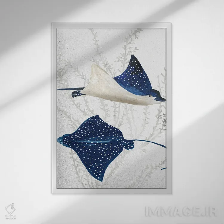 تابلو رِی ماهی آبی II (مانتا) اثر ایمی ویلسون - نمای قابدار سفید