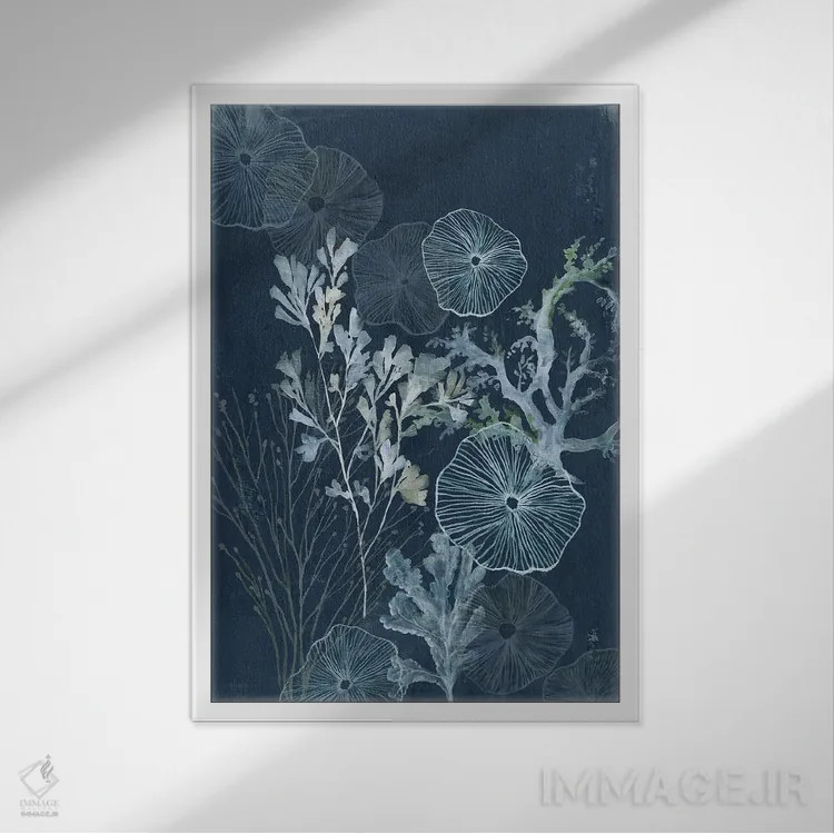 تابلو گنجینههای دریایی اثیری اثر ایمی ویلسون - نمای قابدار سفید