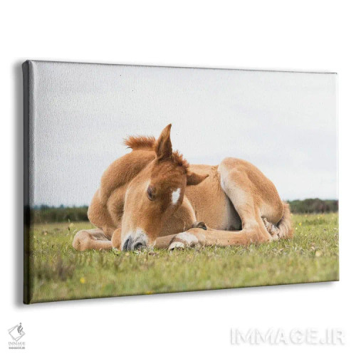 تابلو زیبای خفته اثر اندرو لِوِر - نمای پرسپکتیو محصول