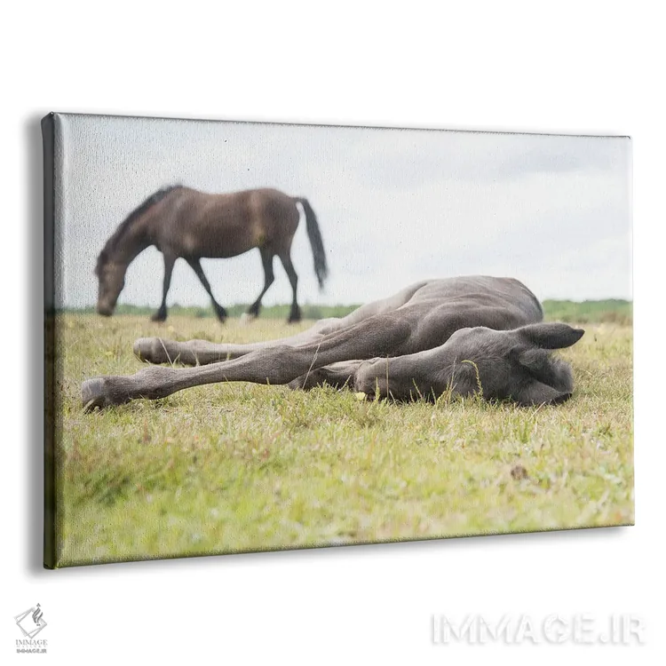 تابلو زیبای خفته II اثر اندرو لِوِر - نمای پرسپکتیو محصول