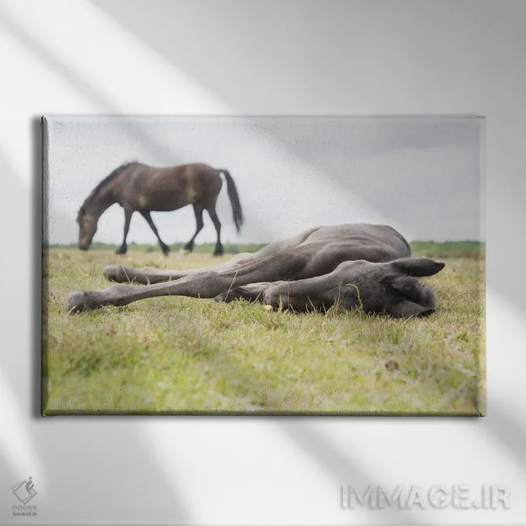 تابلو زیبای خفته II اثر اندرو لِوِر - نمای روبهرو روی دیوار