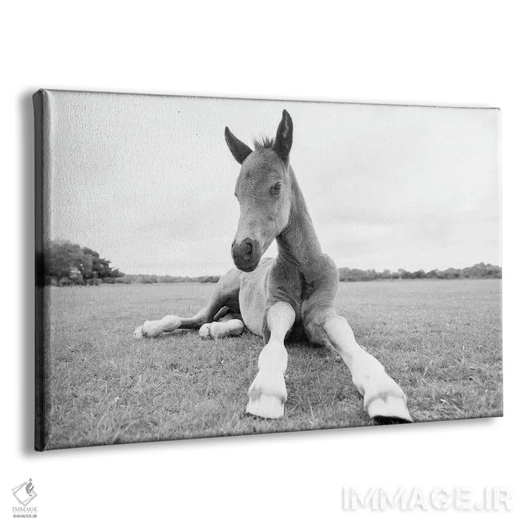 تابلو فقط ریلکس اثر اندرو لِوِر - نمای پرسپکتیو محصول