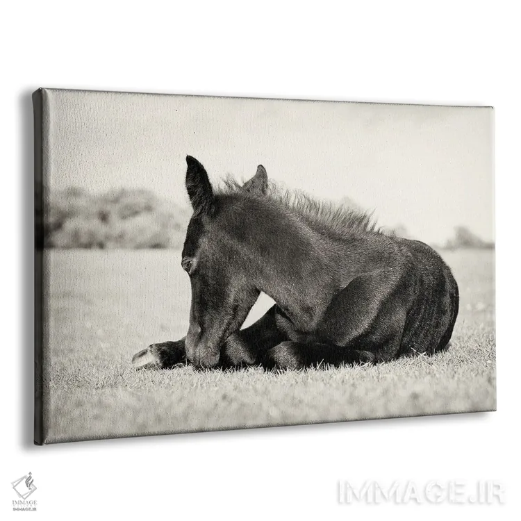 تابلو زیبای خفته III اثر اندرو لِوِر - نمای پرسپکتیو محصول