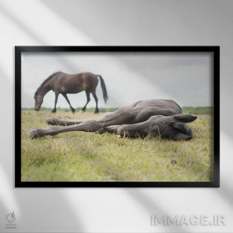 تابلو زیبای خفته II اثر اندرو لِوِر - نمای قابدار مشکی
